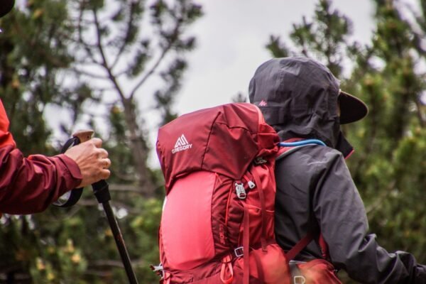 Excursión con niños